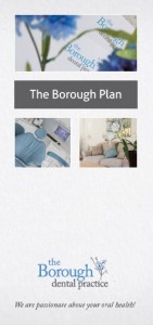 Borough Plan Leaflet